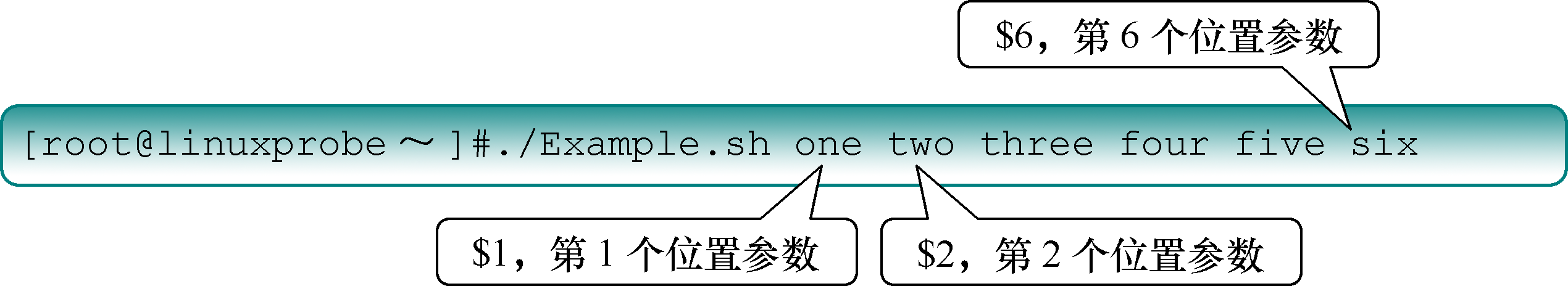 Shell脚本程序中的参数位置变量.png